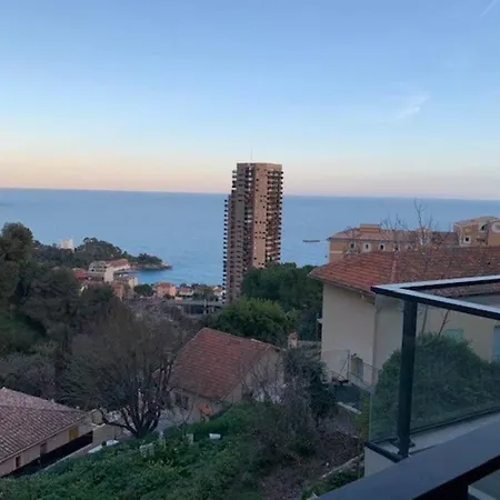 Beautiful Sea View Overlooking Monaco *